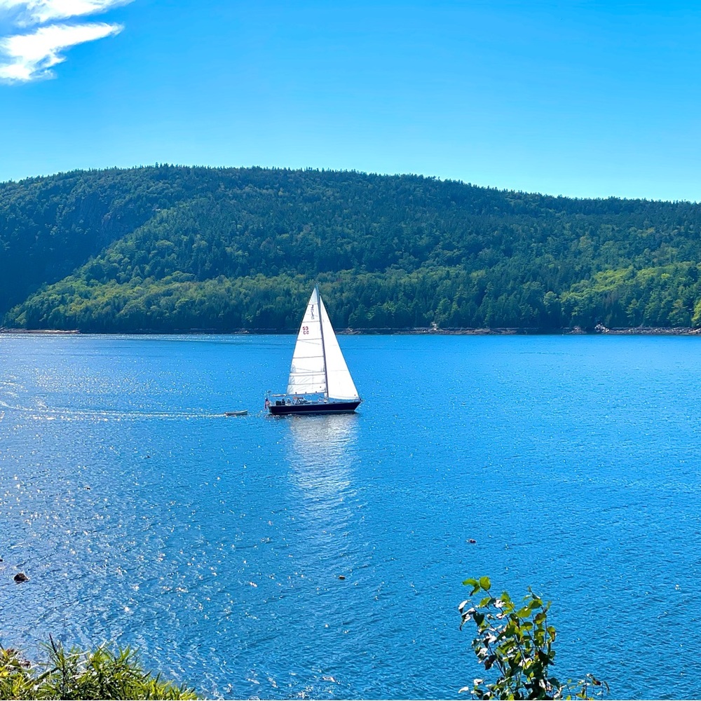 Meet your Posher, Nora